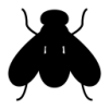 Voladores